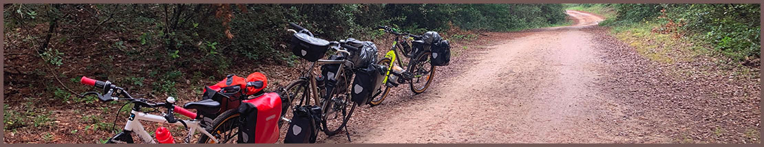 randonnée à vélo en forêt