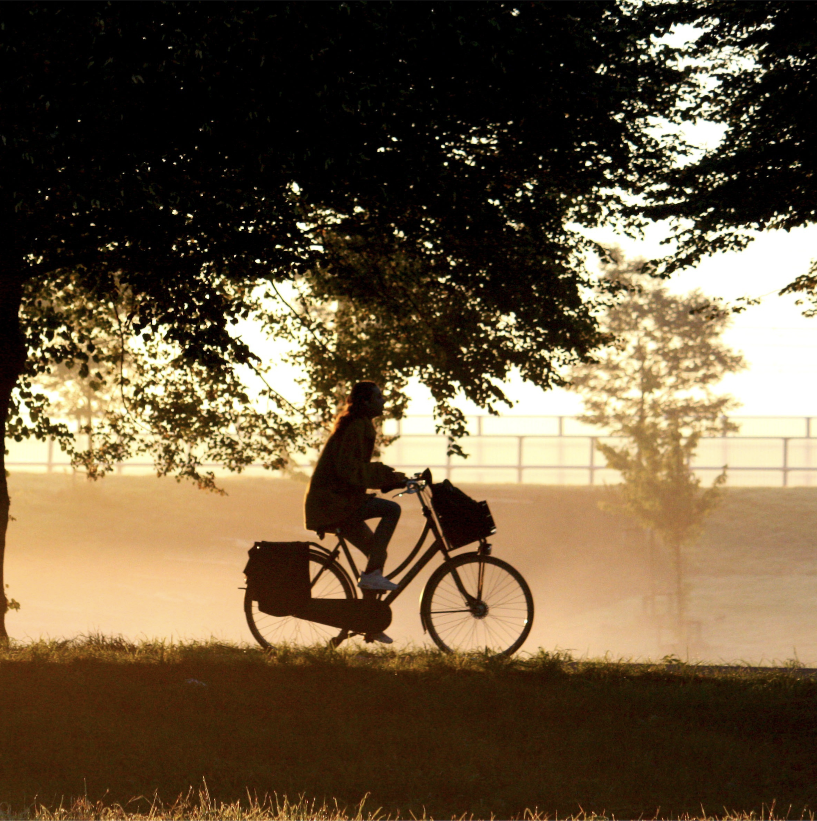 Quel vélo choisir pour le vélotaf en 2026 ? Fiets.fr